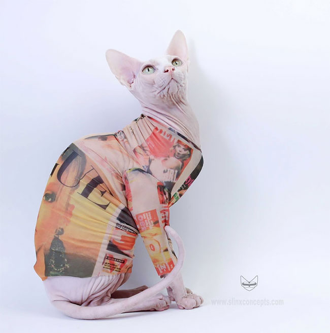 Tattoo Sleeves For Cat
