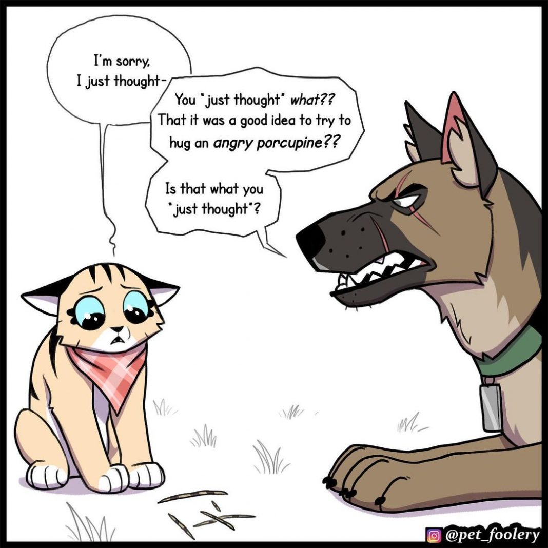 5 New Hilariously Adorable Comics About Pixie And Brutus To Instantly ...