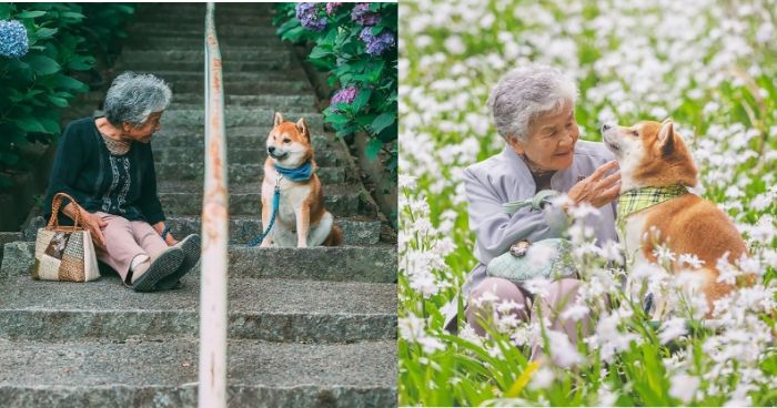 Japanese Photographer Perfectly Captures His Grandmother’s With Adopted Dog Playful Nature In Touching Portraits