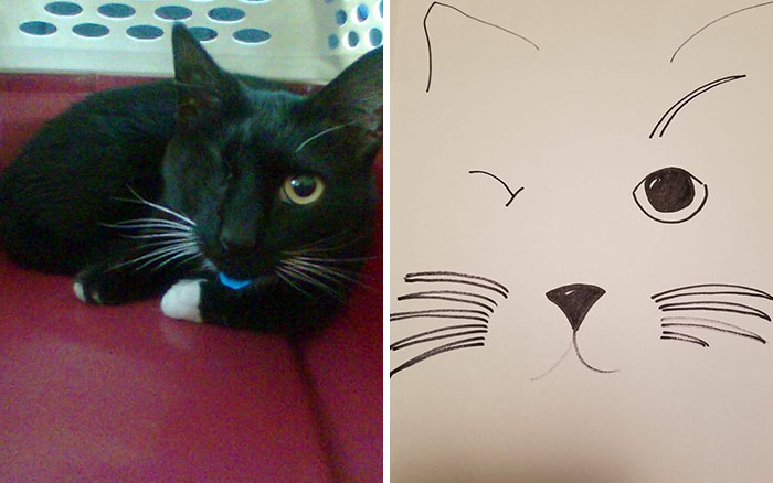 Humane Society Promises To Make A Bad Original Drawing Of Your Pet For A $15 Donation And Here’s The Results (30 Pics)