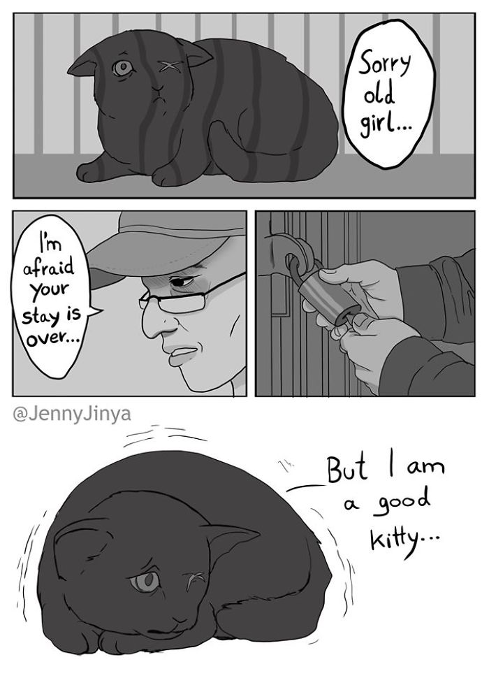 jenny jinya black cat