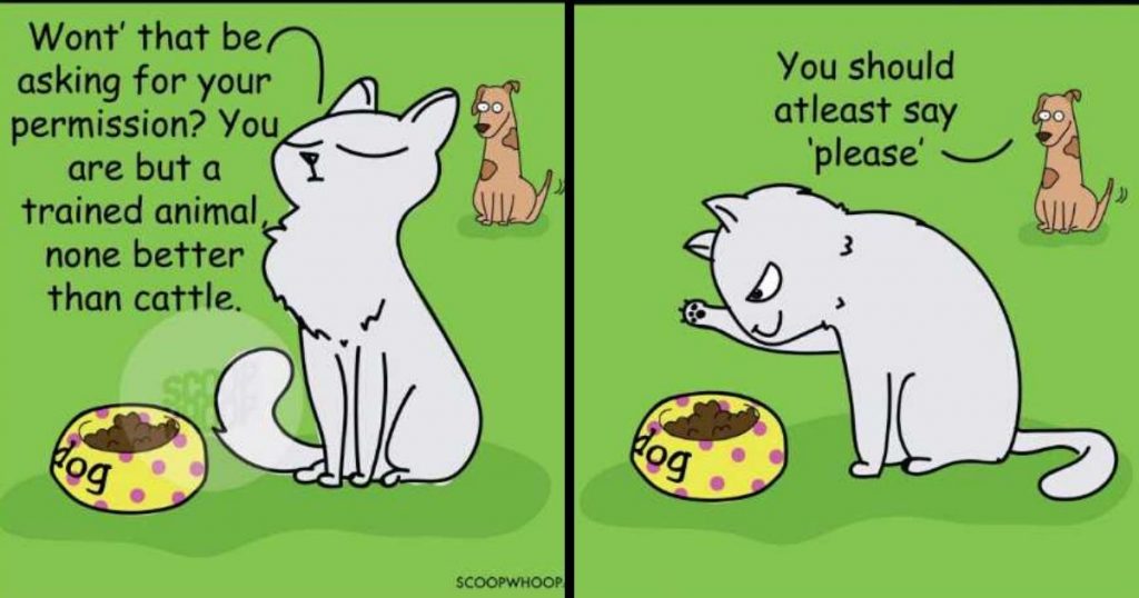 11 Comics Perfectly Illustrate What Happens Between Your Pet Cat & Dog When You Aren’t Home