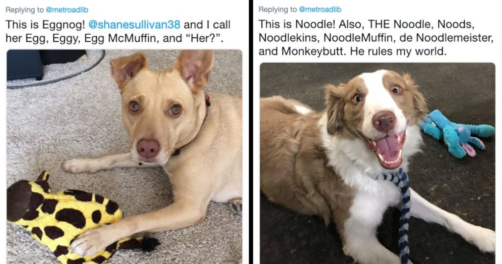 TWITTER USERS ARE SHARING ALL THE WEIRD NICKNAMES THEY HAVE GIVEN TO THEIR PETS AND IT’S ADORABLE