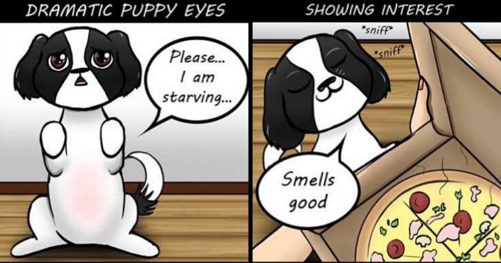 My 29 Comics That Every Dog Owner Will Understand