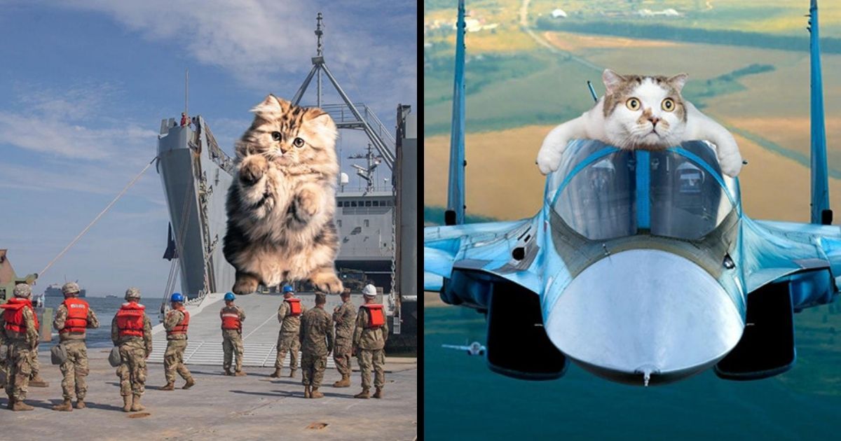 Cats Of War: This Artist Hilariously Combines Military Hardware With Giant Cats