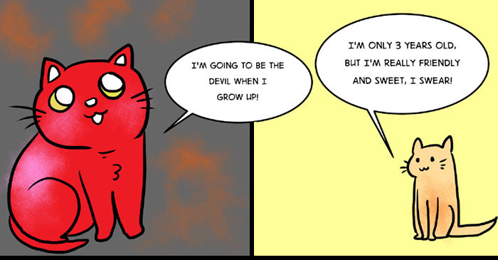 This Comic About ‘Unadoptable’ Cats Is Amazing